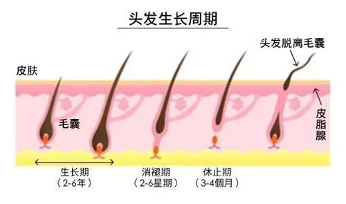 倍生植发