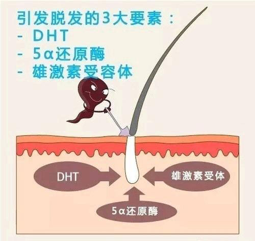 倍生植发