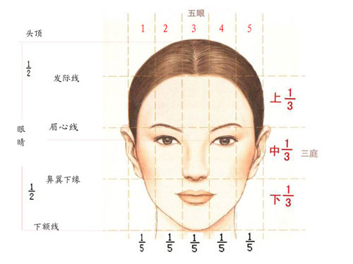 发际线种植