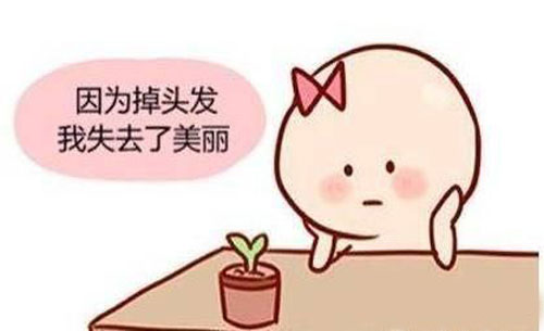 发际线种植